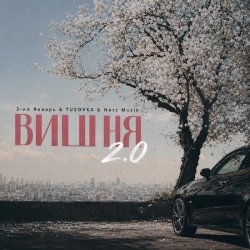 封面 Вишня (2.0 TUSOVKA & Nazz Muzik Remix)