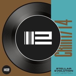 封面 Igor Pumphonia & Dmitry Isaev - Stellar Evolution
