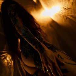 封面 Timagor - The twilight