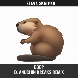 封面 Бобр (D. Anuchin Breaks Radio Edit)