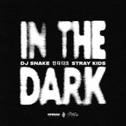 Cover DJ Snake & Stray Kids - In The Dark