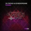 封面 DJ TOCHO & Schizoofr3nik - Express DJ TOCHO & Schizoofr3nik - Express