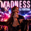 封面 DJ FORTUNA - MADNESS DJ FORTUNA - MADNESS