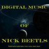 封面 Nick Beetls - Flight Dream Nick Beetls - Flight Dream