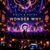 封面 Duck & Rufus - Wonder Why Duck & Rufus - Wonder Why