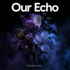 封面 DJ-Lion- Л. Е. В. - Our echo DJ-Lion- Л. Е. В. - Our echo