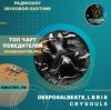 封面 DesposalBeats, L B R I S - crysouls DesposalBeats, L B R I S - crysouls