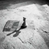 封面 Текст Бельских Сергей Томск. - Национальные шахматы. Текст Бельских Сергей Томск. - Национальные шахматы.