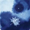 封面 Федяков Валерий - Князь любви Федяков Валерий - Князь любви