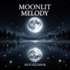 封面 Vasilii CECEGOV & Atom - Moonlit melody Vasilii CECEGOV & Atom - Moonlit melody