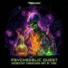 封面 Psychedelic Quest - Psychotherapy Psychedelic Quest - Psychotherapy