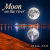 封面 DJ-Lion- Л. Е. В. - Moon on the river