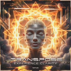 封面 Transpose (CA) - Experience Clarity (Original Mix)