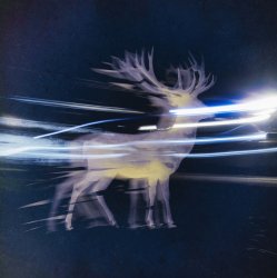 封面 Albedo Waves - Le Feu Sauvage