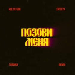封面 Kolya Funk, ZAPOLYA, TUSOVKA - Позови меня (Remix)