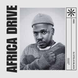 封面 DJ Stelio Black - Africa Drive