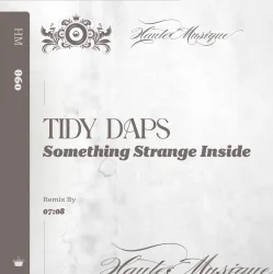 封面 Tidy Daps - Something Strange Inside (Original Mix)