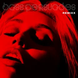 封面 Bass Persuades (Remixx)