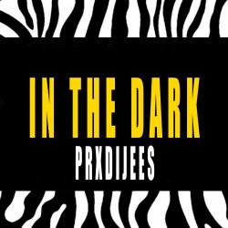封面 IN THE DARK
