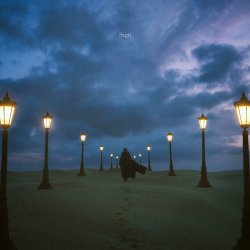 封面 Aimer - Wren