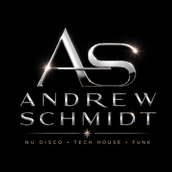 封面 Andrew Schmidt feat. Andra Vox - The Summer's Gone (Radio Edit)