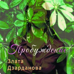 封面 Пробуждение