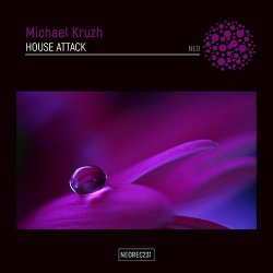 封面 Michael Kruzh - House Attack