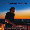 封面 Dj Vasya Zhukov - Шкода Dj Vasya Zhukov - Шкода