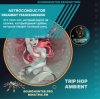 Astroconductor - Dreamboy Trancegression