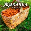 Обкладинка Живинка - Морошка Живинка - Морошка