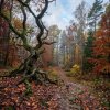 Обкладинка MusicOnlineUA - Autumn, autumn ( English Version) MusicOnlineUA - Autumn, autumn ( English Version)