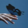 封面 Lxst Wxrld, Mxnsxt - Butterflies in the Stomach Lxst Wxrld, Mxnsxt - Butterflies in the Stomach