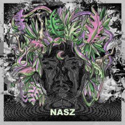 封面 Nasz - Believe