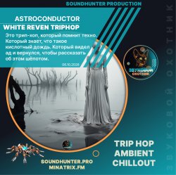封面 Astroconductor - White Reven Triphop
