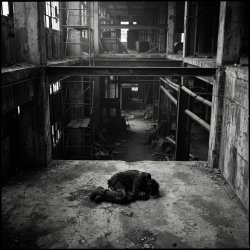 封面 SerDi - Concrete Lungs