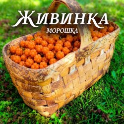 Обкладинка Морошка