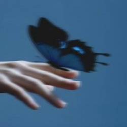 封面 Butterflies in the Stomach