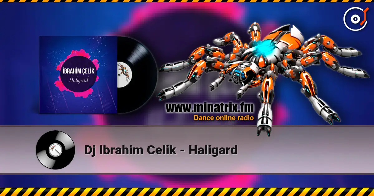 Dj Ibrahim Celik - Haligard 高品质在线收听 | Minatrix.FM
