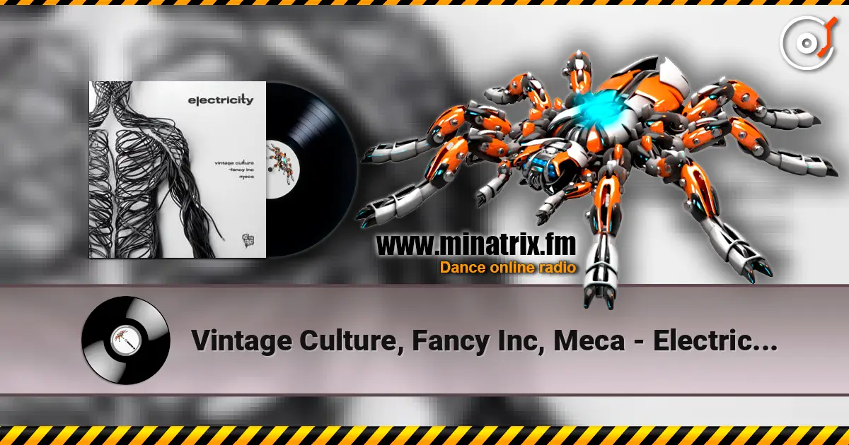 Vintage Culture, Fancy Inc, Meca - Electricity 高品质在线收听 | Minatrix.FM
