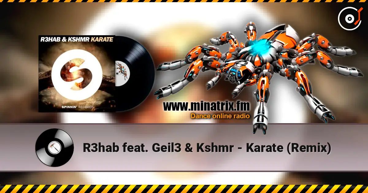 R3hab feat. Geil3 & Kshmr - Karate (Remix) 高品质在线收听 | Minatrix.FM