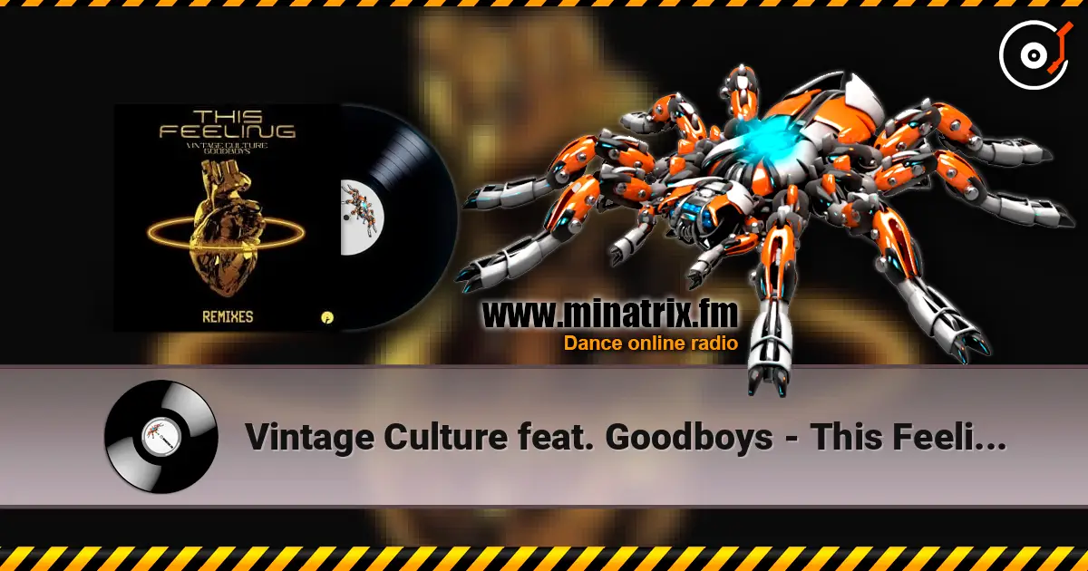 Vintage Culture feat. Goodboys - This Feeling (Velvet Mode And Chris Arna Remix) 高品质在线收听 | Minatrix.FM