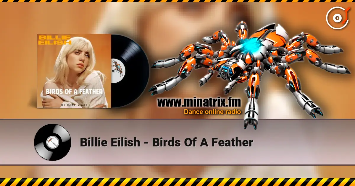 Billie Eilish - Birds Of A Feather 高品质在线收听 | Minatrix.FM