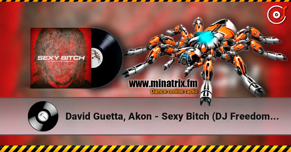David Guetta, Akon - Sexy Bitch (DJ Freedom Radio Edit) 高品质在线收听 | Minatrix.FM