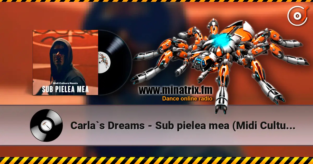 Carla`s Dreams - Sub pielea mea (Midi Culture Remix) 高品质在线收听 | Minatrix.FM