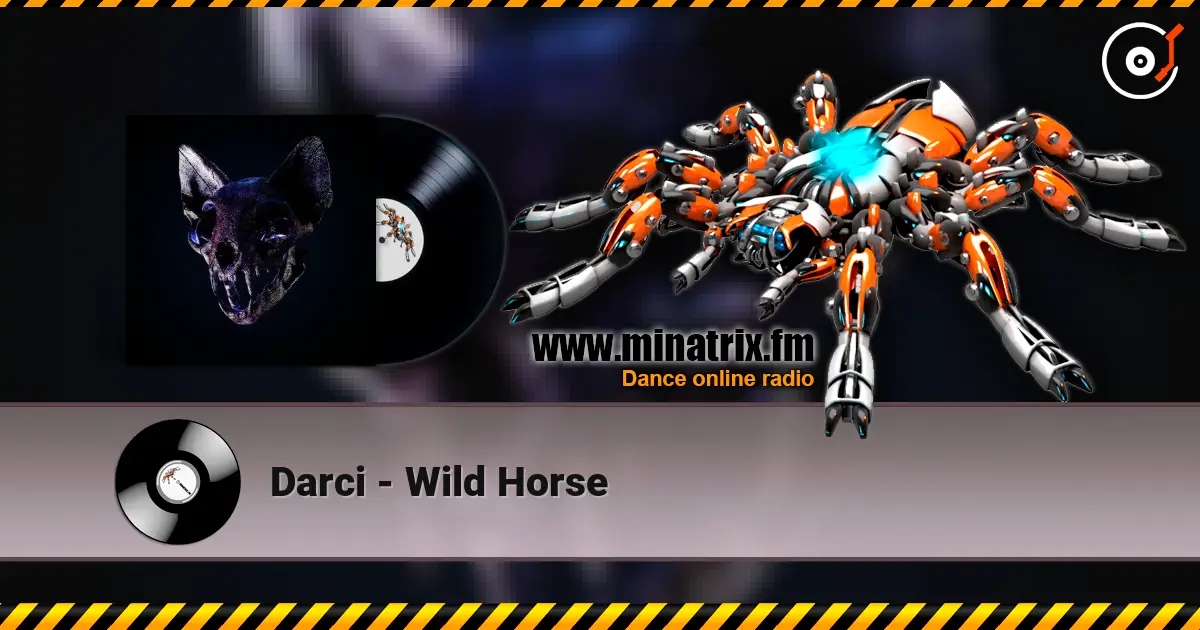 Darci - Wild Horse 高品质在线收听 | Minatrix.FM