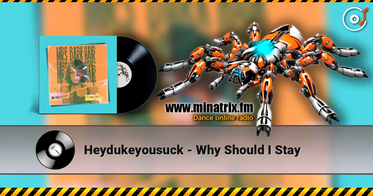 Heydukeyousuck - Why Should I Stay 高品质在线收听 | Minatrix.FM