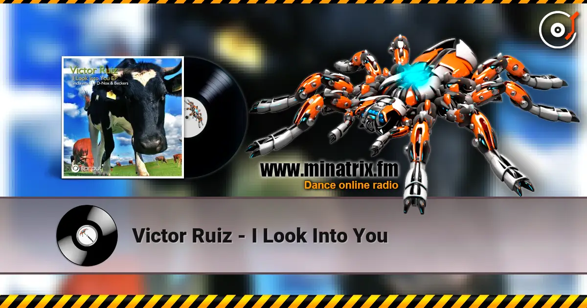 Victor Ruiz - I Look Into You 高品质在线收听 | Minatrix.FM