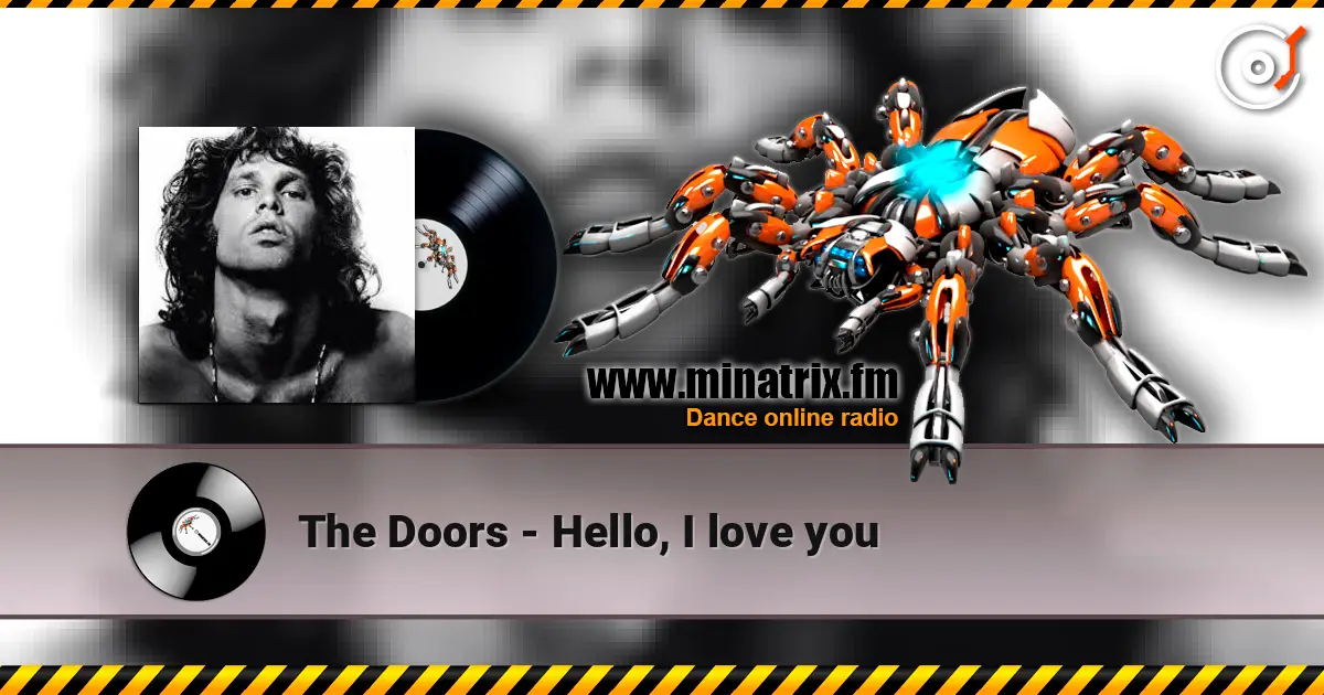 The Doors - Hello, I love you 高品质在线收听 | Minatrix.FM