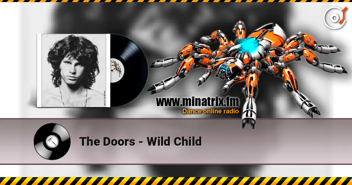 The Doors - Wild Child 高品质在线收听 | Minatrix.FM