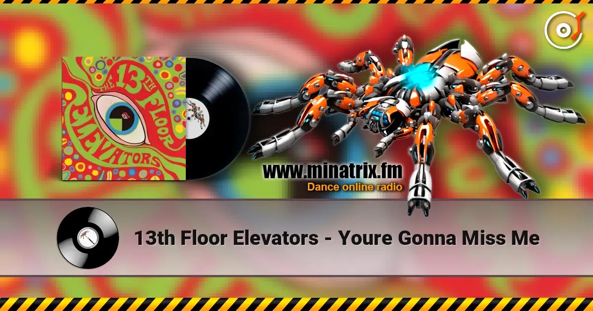 13th Floor Elevators - Youre Gonna Miss Me 高品质在线收听 | Minatrix.FM